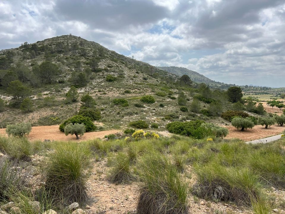 Helårsgrund i Hondon De Las Nieves, Alicante - foto 5