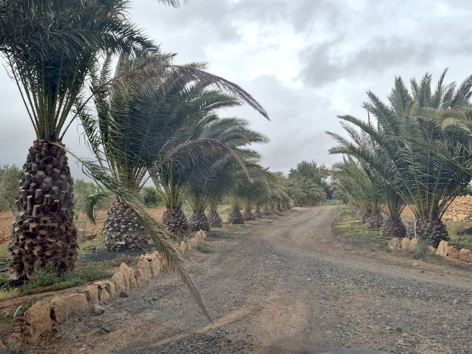 Casa di campagna Antigua, Fuerteventura - foto 2