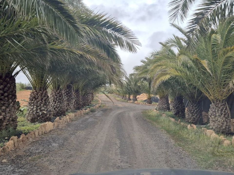 Casa di campagna Antigua, Fuerteventura - foto 3
