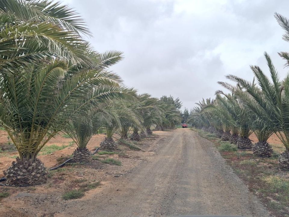 Casa di campagna Antigua, Fuerteventura - foto 4