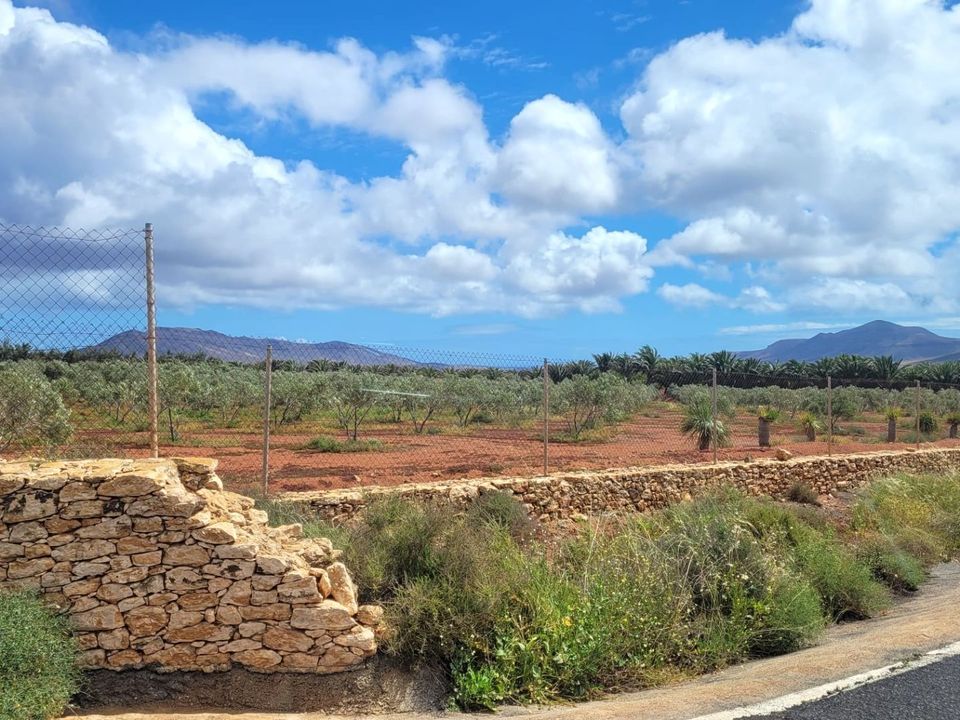 Casa di campagna Antigua, Fuerteventura - foto 5