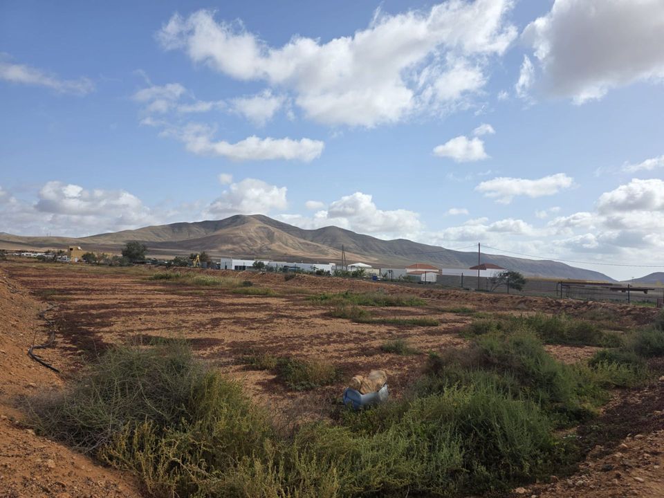Terra em Triquivijate, Fuerteventura - foto 4