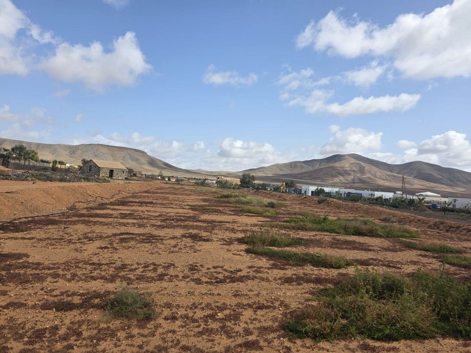 Terra em Triquivijate, Fuerteventura - foto 5