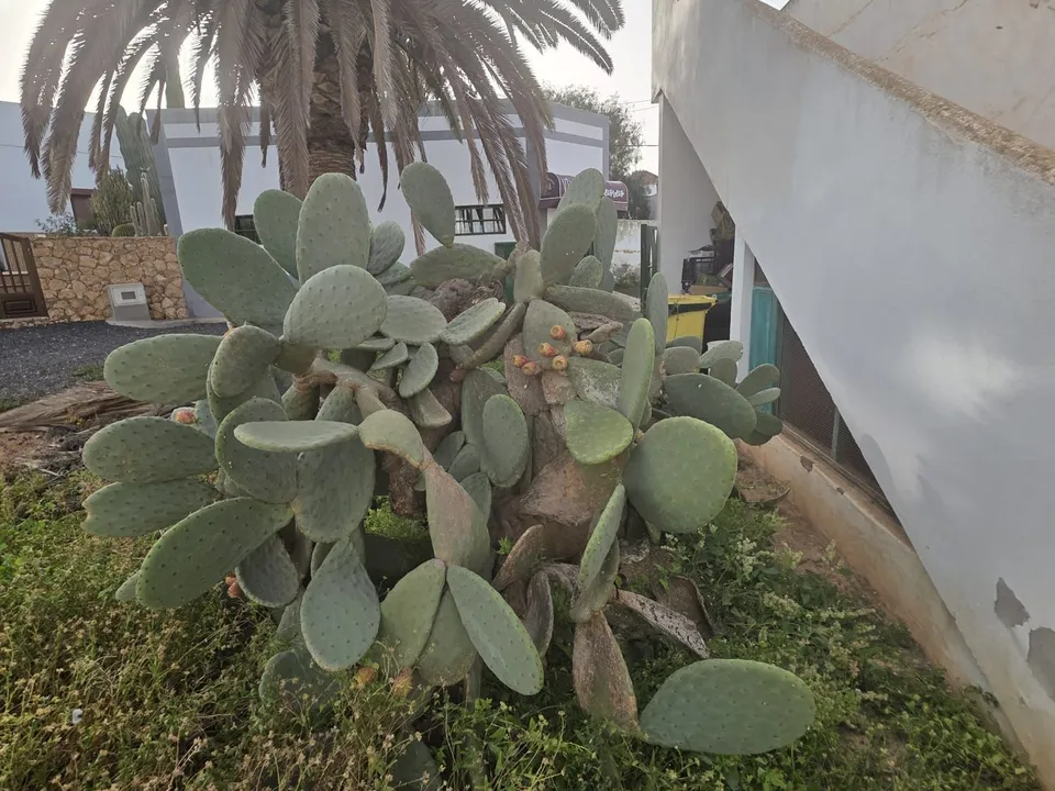 Byhus i Tetir, Fuerteventura - foto 2