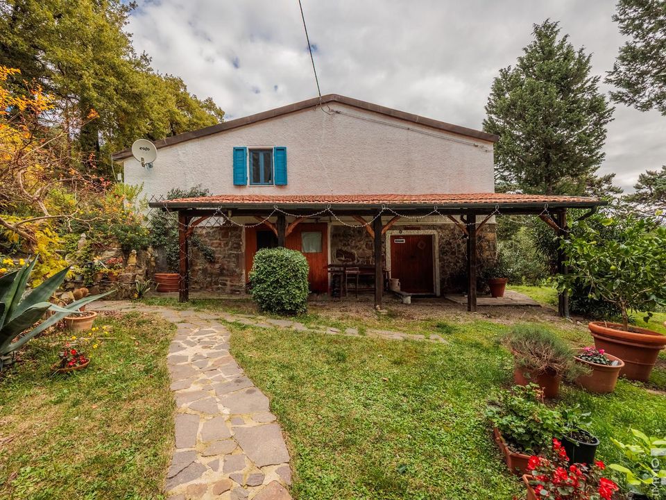 Herregård i Roccastrada, Grosseto - bilde 5