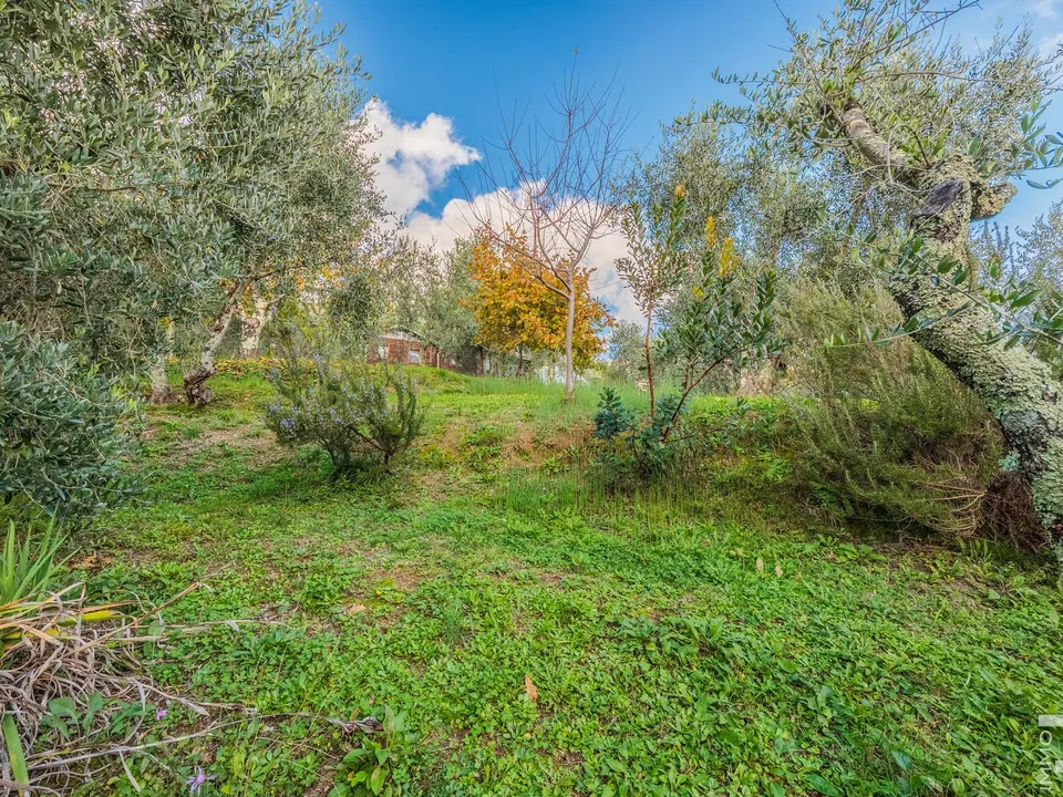 Landejendom i Pescia, Pistoia - foto 5