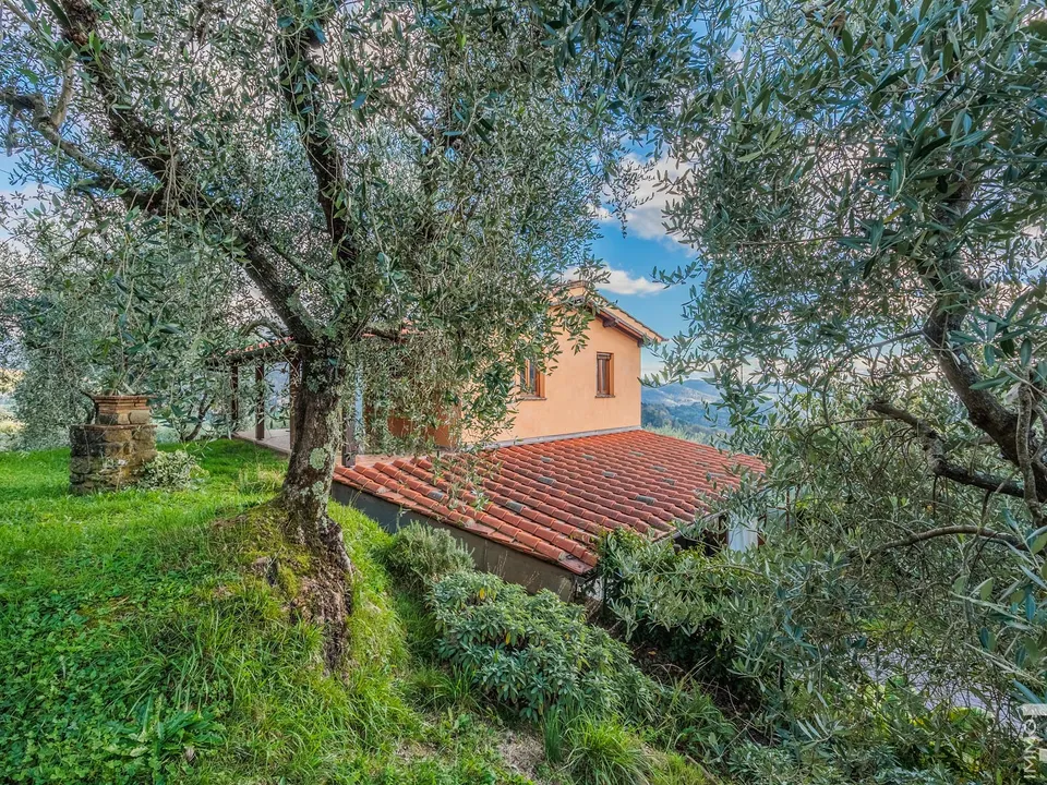 Landejendom i Pescia, Pistoia - foto 4
