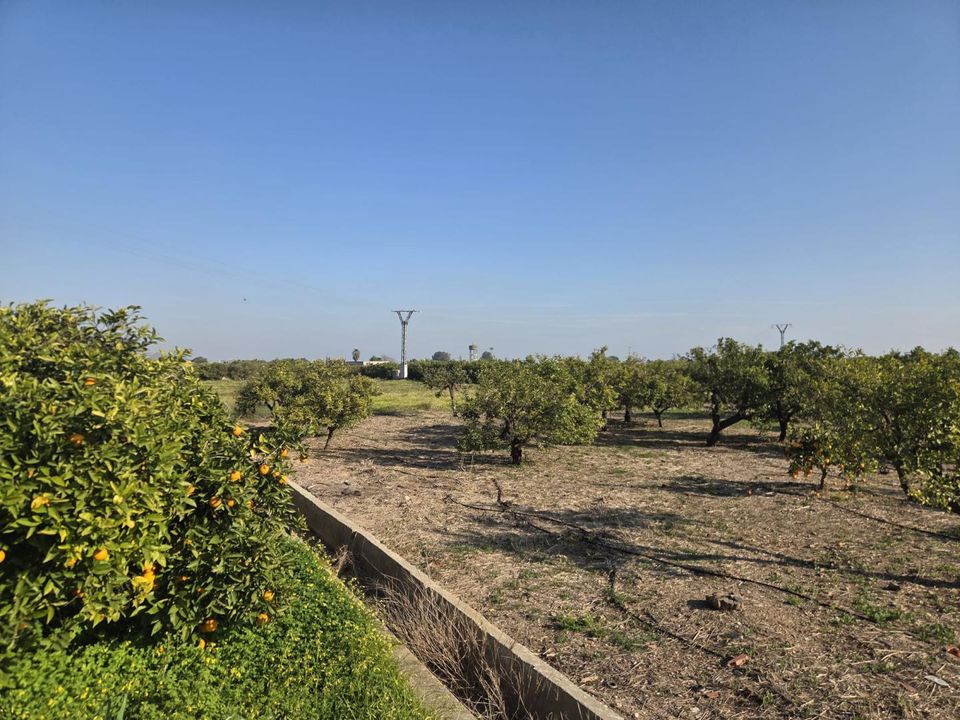 Tomt i Rafelcofer, Valencia - bilde 4