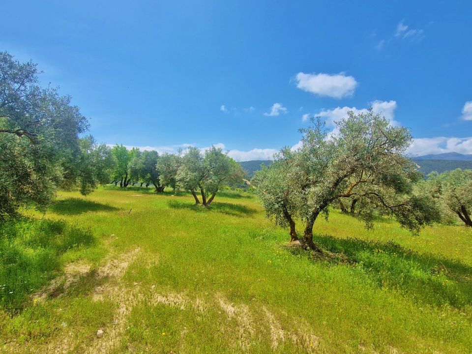 Landejendom i Jayena, Granada - foto 3