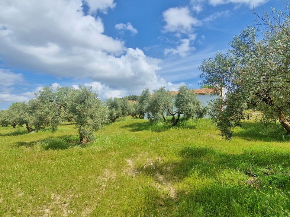 Landejendom i Jayena, Granada - foto 4