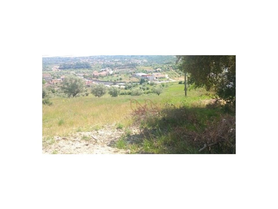 Helårsgrund i Ourem, Santarem - foto 5