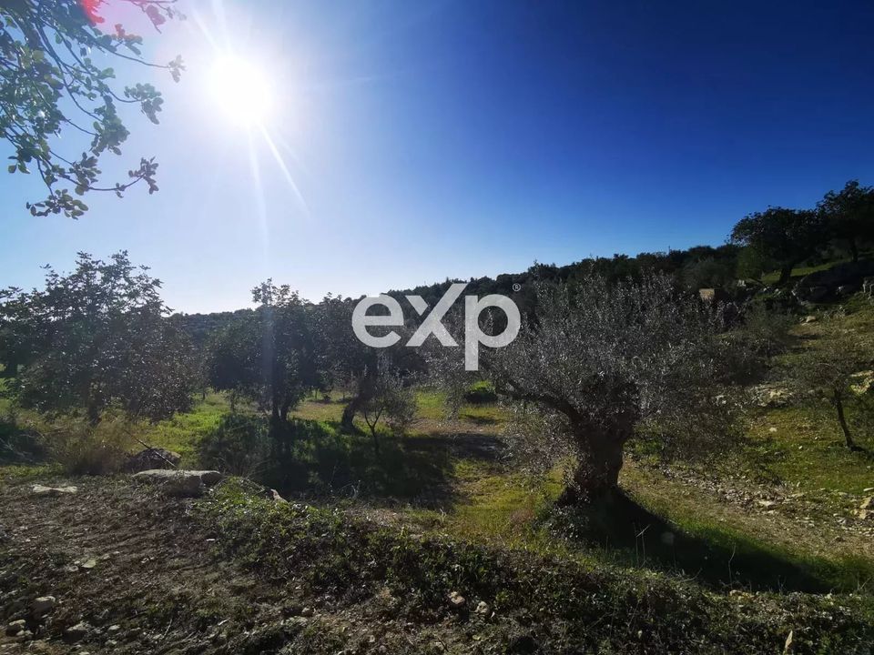 Tomt i Rosolini, Siracusa - bilde 1