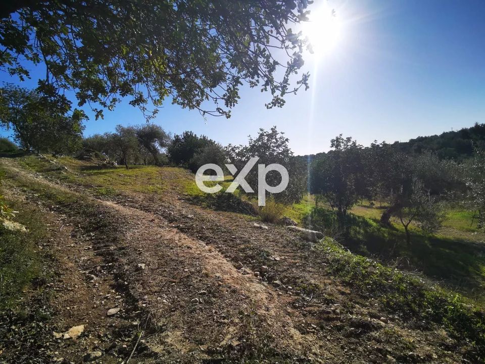 Tomt i Rosolini, Siracusa - bilde 2