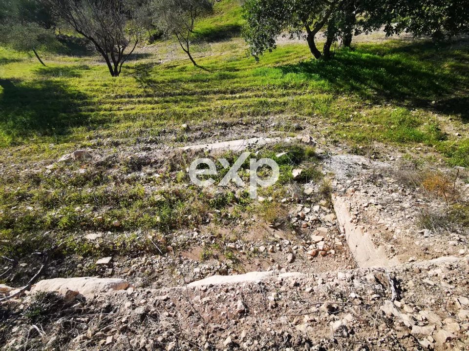 Tomt i Rosolini, Siracusa - bilde 3