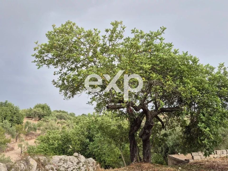 Tomt i Rosolini, Siracusa - bilde 4