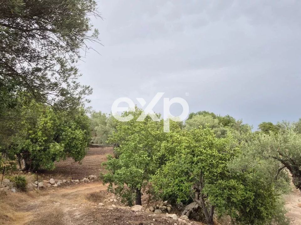 Tomt i Rosolini, Siracusa - bilde 5
