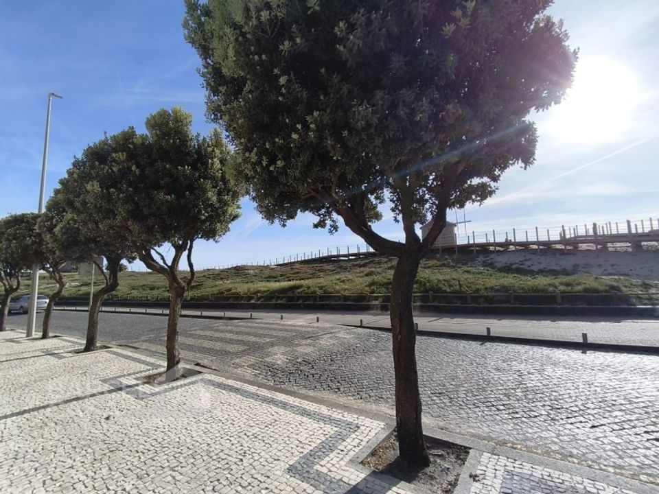 Lejlighed i Apulia, Braga - foto 3