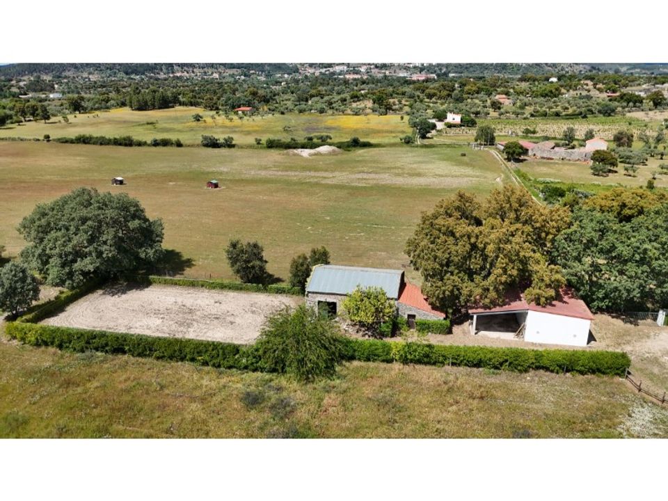 Farm i Penamacor, Castelo Branco - foto 1