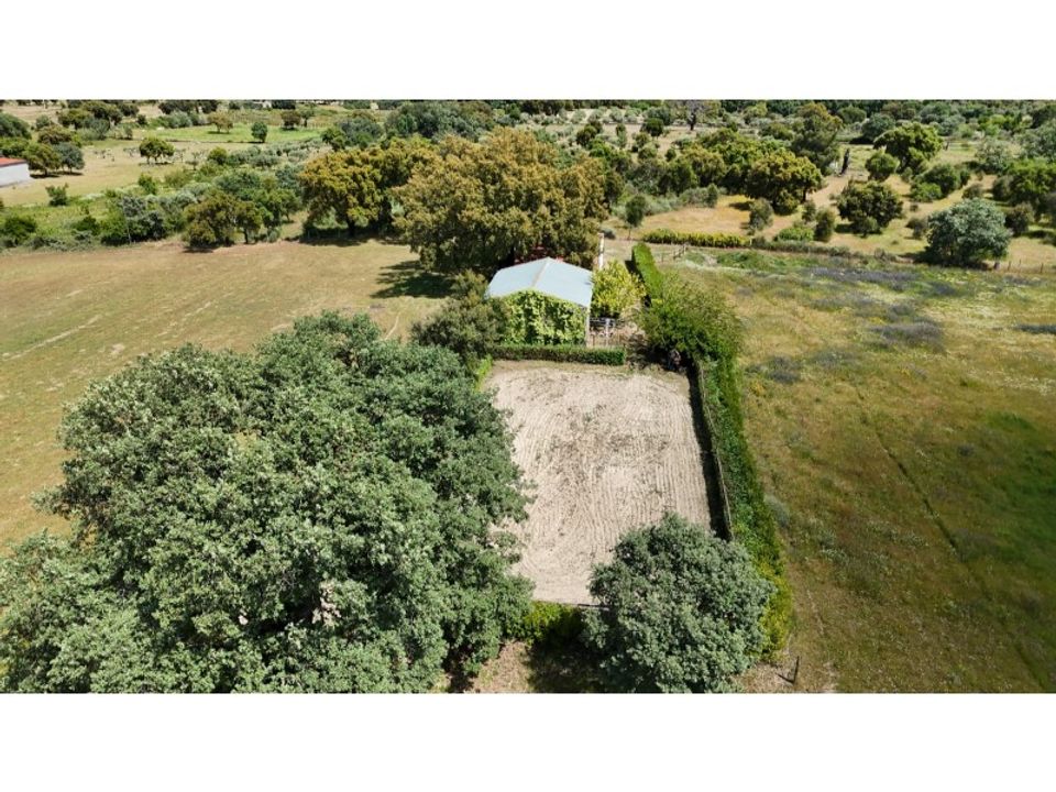 Farm i Penamacor, Castelo Branco - foto 2