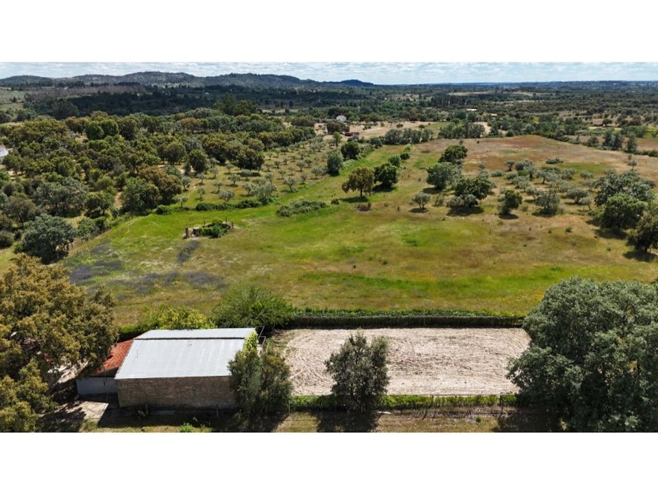 Farm i Penamacor, Castelo Branco - foto 3