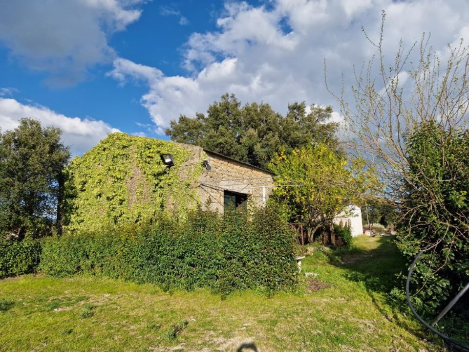 Farm i Penamacor, Castelo Branco - foto 4