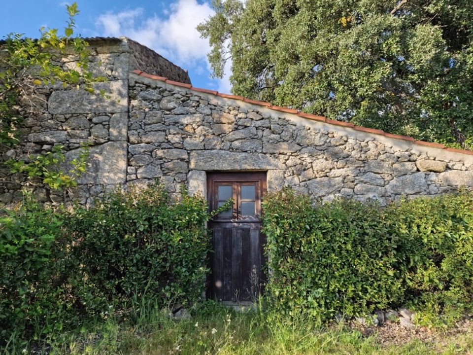 Farm i Penamacor, Castelo Branco - foto 5