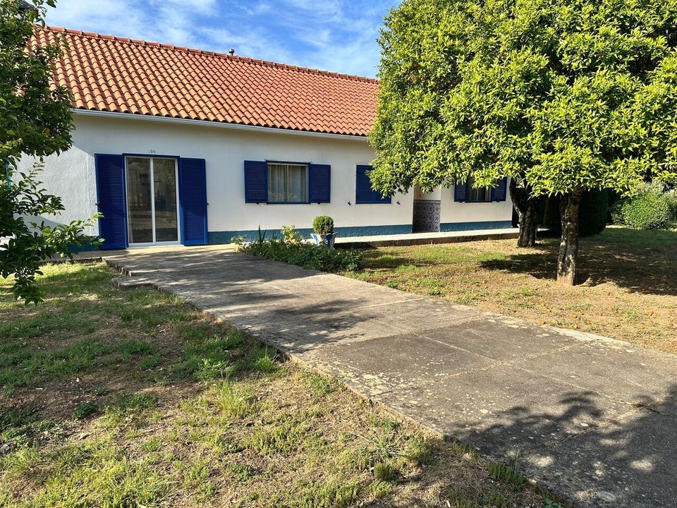 Farm i Abrantes, Santarem - foto 3