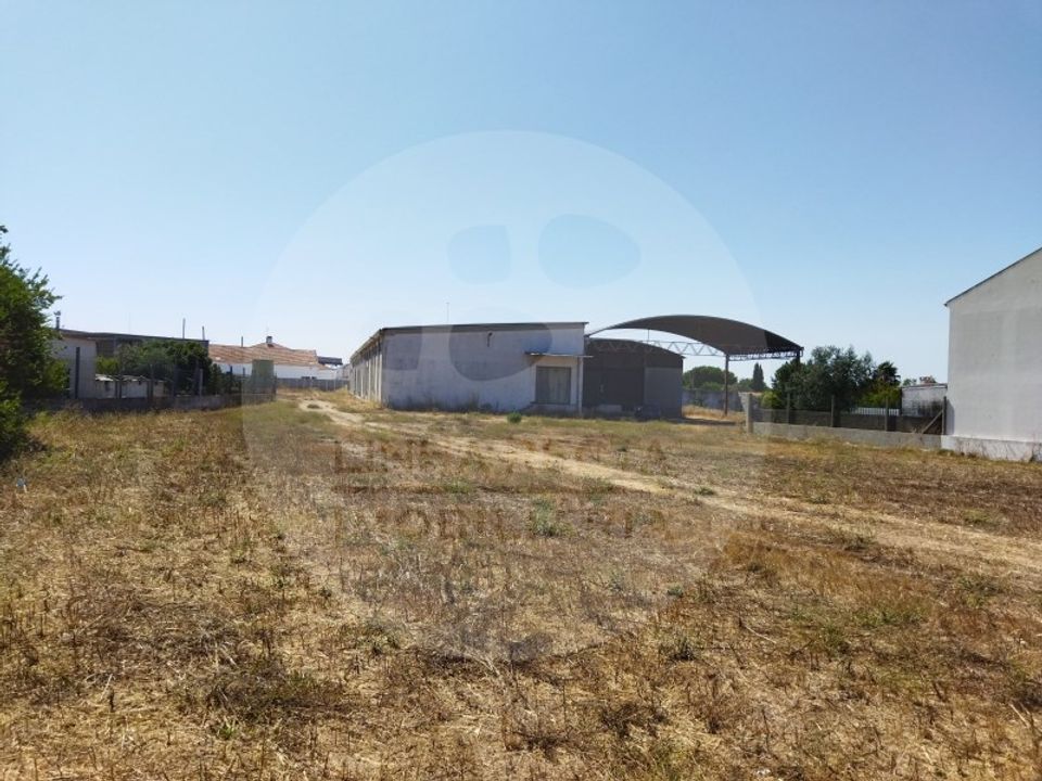 Erhvervsejendom i Quinta do Anjo, Setubal - foto 3