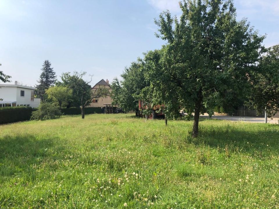Villa i Folgensbourg, Haut-Rhin - foto 2