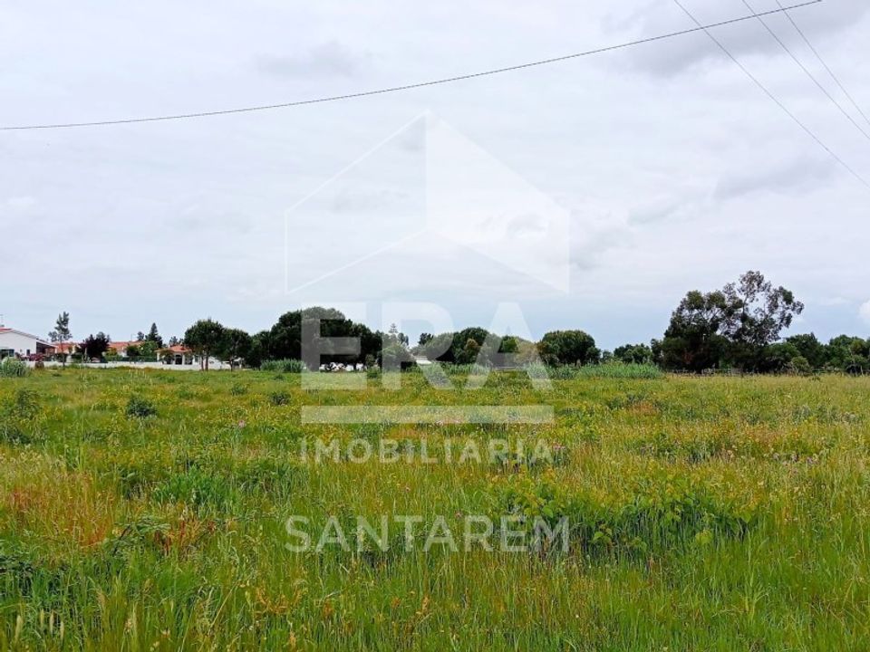 Helårsgrund i Vale de Santarem, Santarem - foto 3