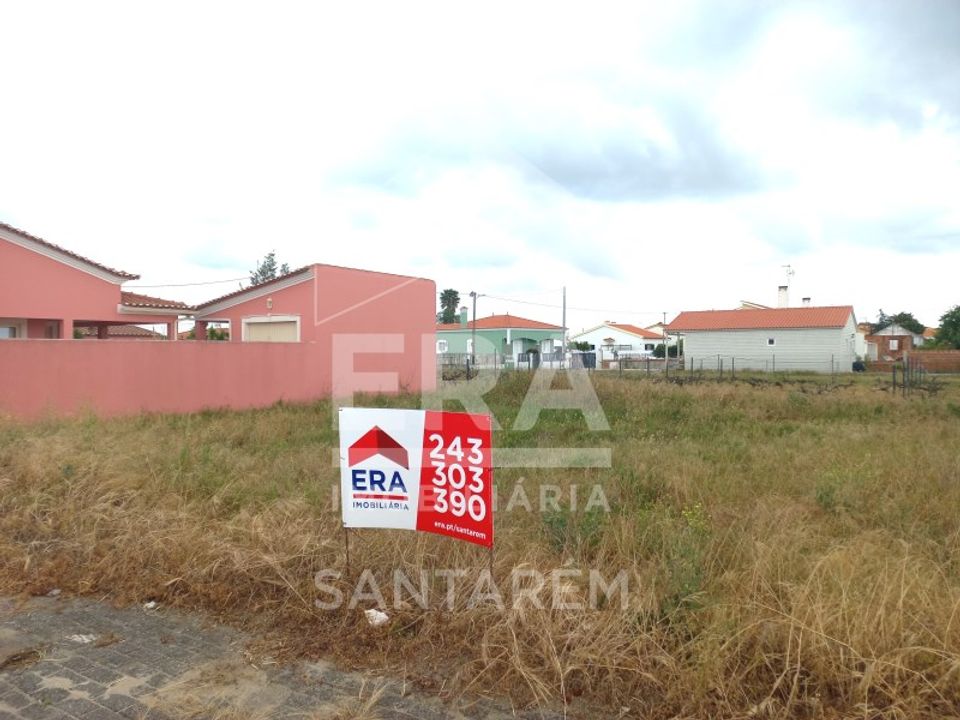Helårsgrund i Almeirim, Santarem - foto 5