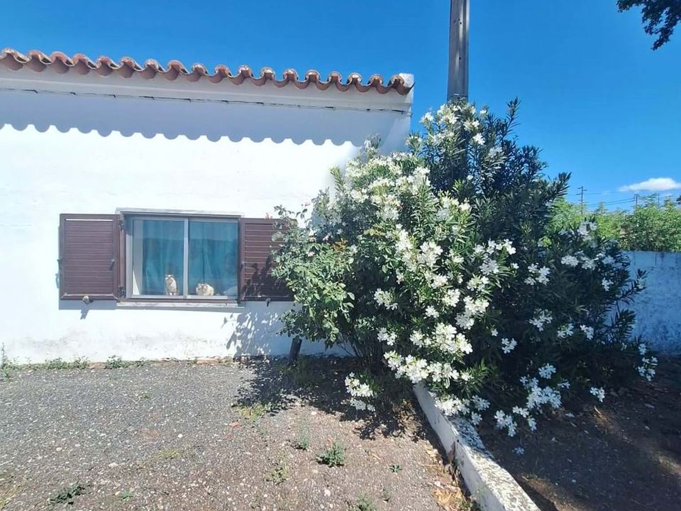 Farm house in Serpa, Beja - photo 1