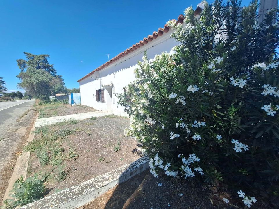 Farm house in Serpa, Beja - photo 2