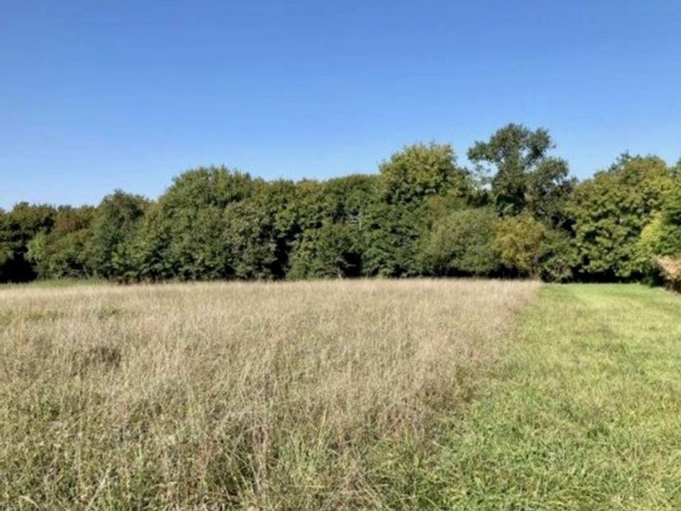 Helårsgrund i Sadirac, Gironde - foto 3