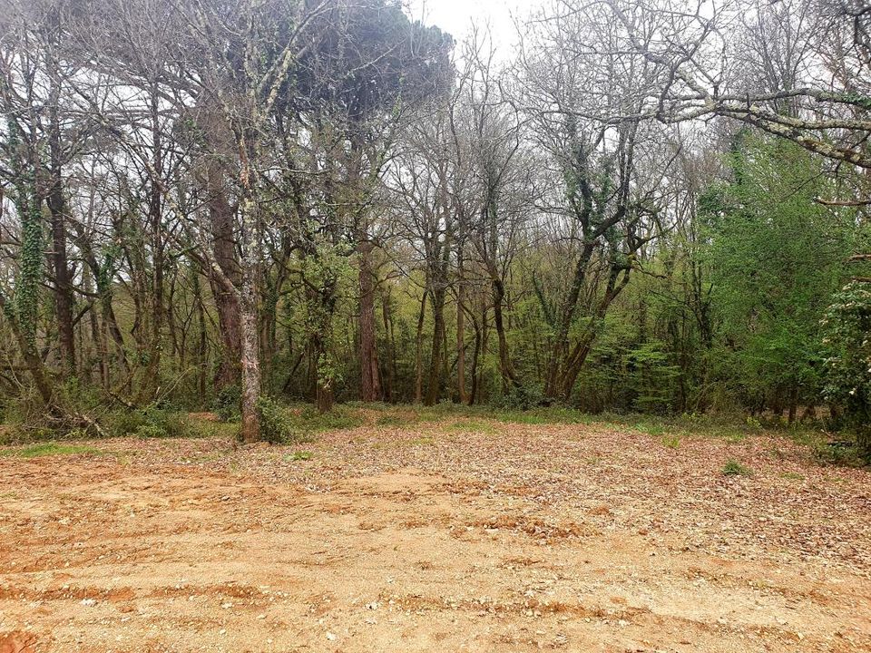 Helårsgrund i Sadirac, Gironde - foto 4