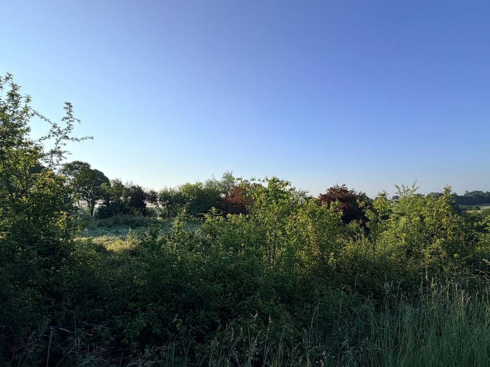 Tomt i Pompignac, Gironde - bilde 2
