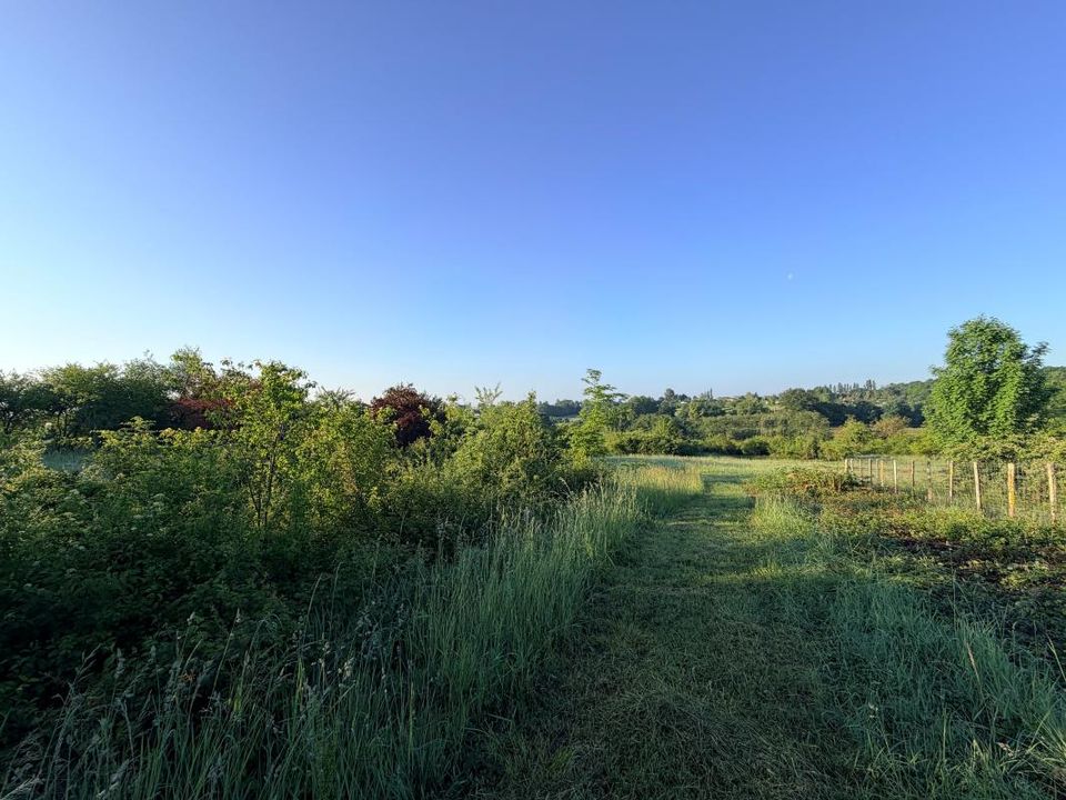 Tomt i Pompignac, Gironde - bilde 3
