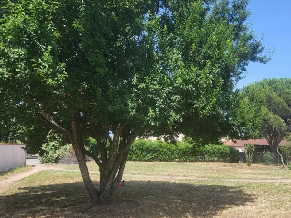 Helårsgrund i Saint-Jean-d'Illac, Gironde - foto 1