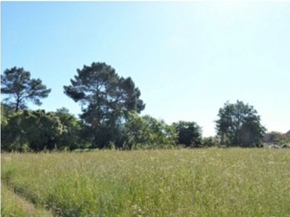 Terra a Camblanes-et-Meynac, Gironde - foto 1