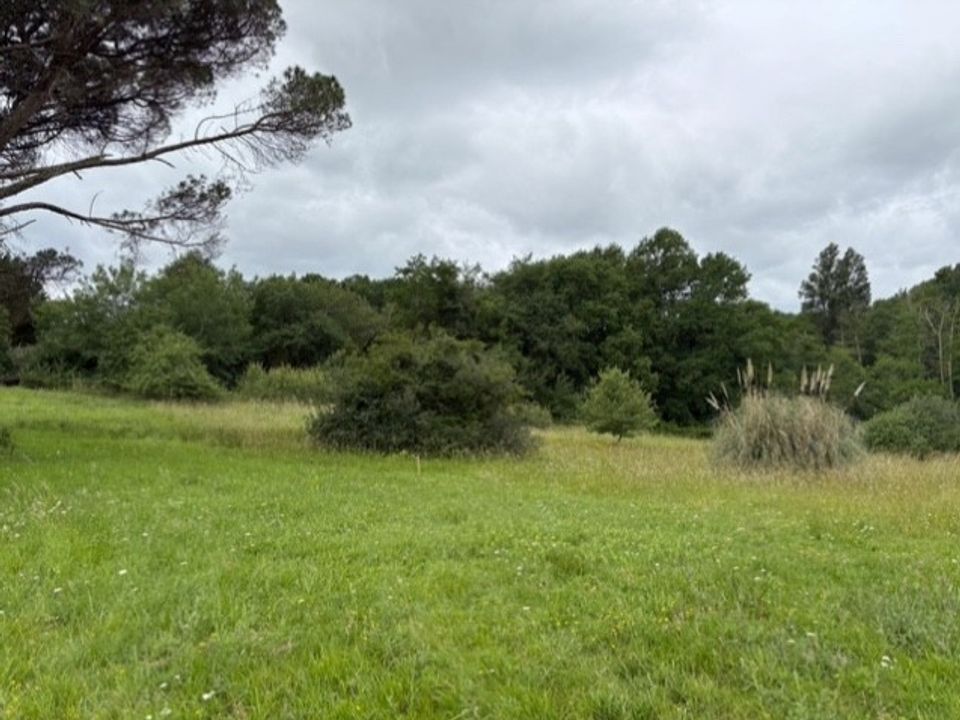 Helårsgrund i Fargues-Saint-Hilaire, Gironde - foto 2