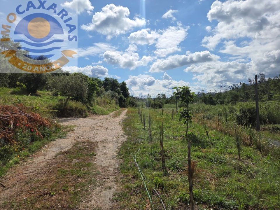 Helårsgrund i Gondemaria e Olival, Santarem - foto 4