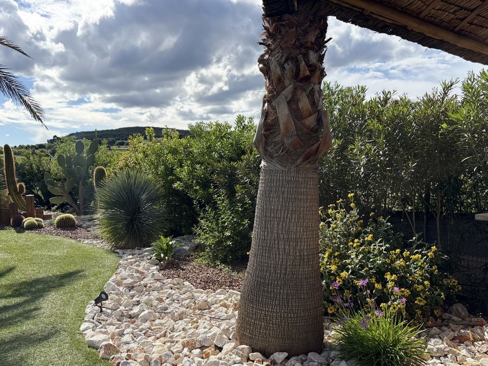 Villa i Roujan, Herault - foto 5