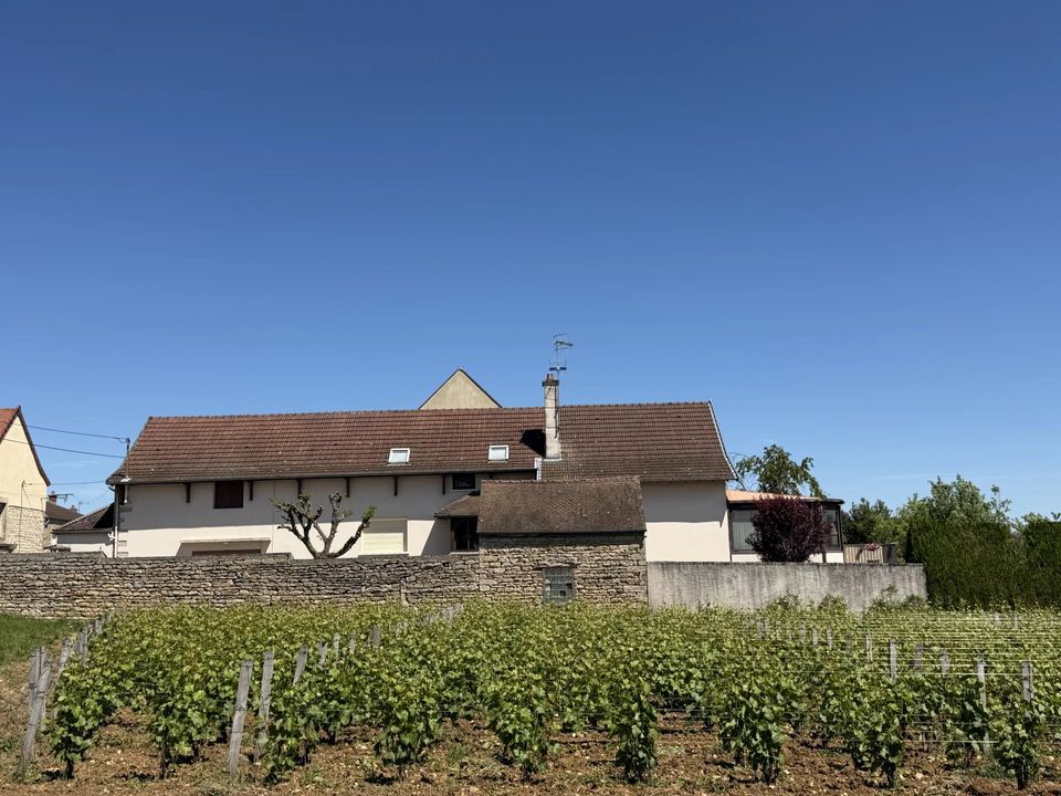 Villa i Marsannay-la-Côte, Cote-d'Or - foto 1