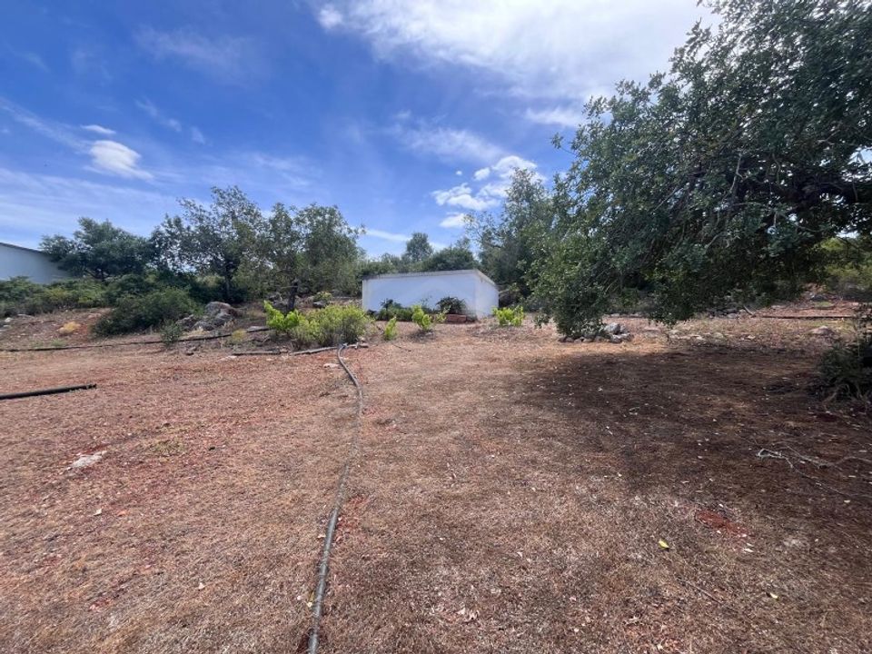 Villa i Tavira, Faro - foto 3