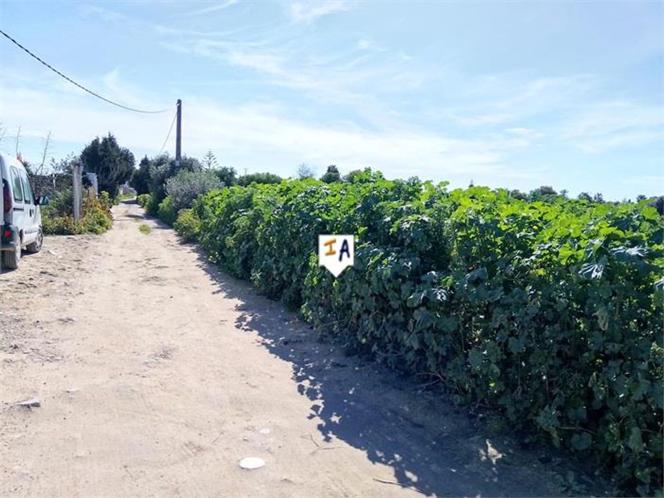 Helårsgrund i Vejer De La Frontera, Cadiz - foto 3