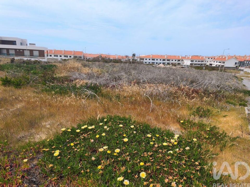 Helårsgrund i Alcobaca, Leiria - foto 3