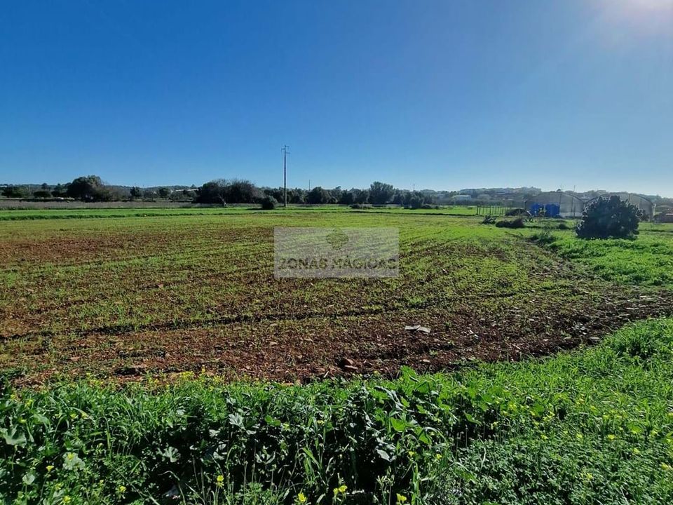 Farm hus i Lagos, Faro - foto 3
