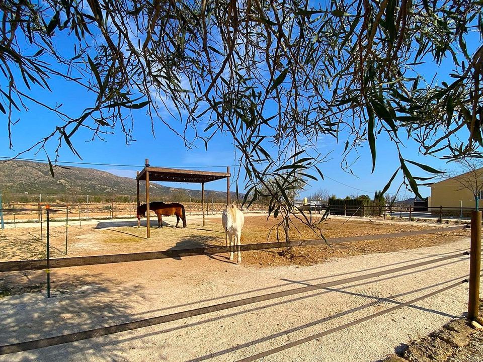 Villa i Lel, Alicante - bilde 4