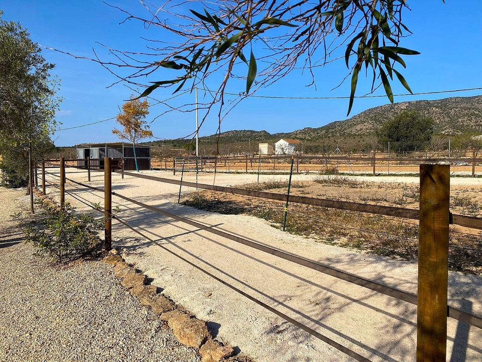 Villa i Lel, Alicante - bilde 5