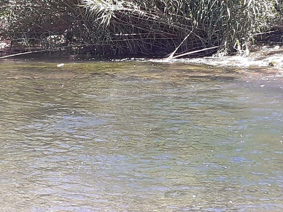 Masia a Albufeira, Faro - foto 4